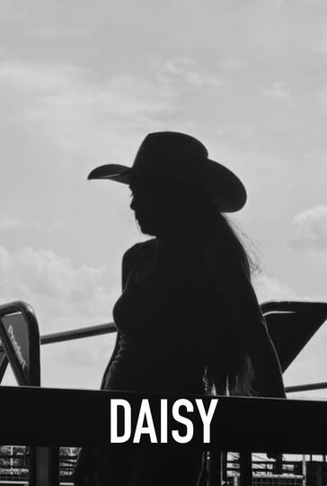 DAISY - Director DAISY - Director